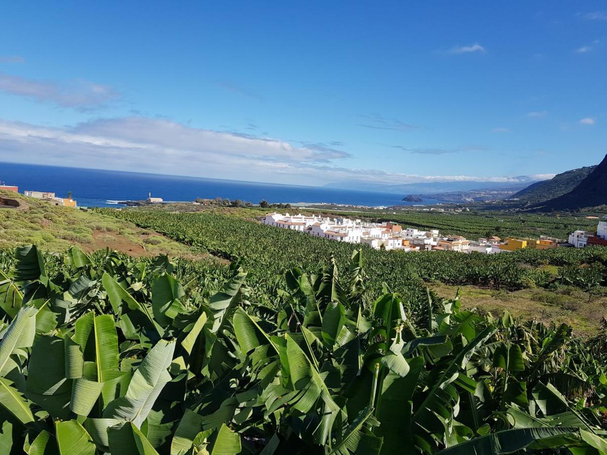 Teno Mountains&Bananas Garden House Daire Los Silos Dış mekan fotoğraf
